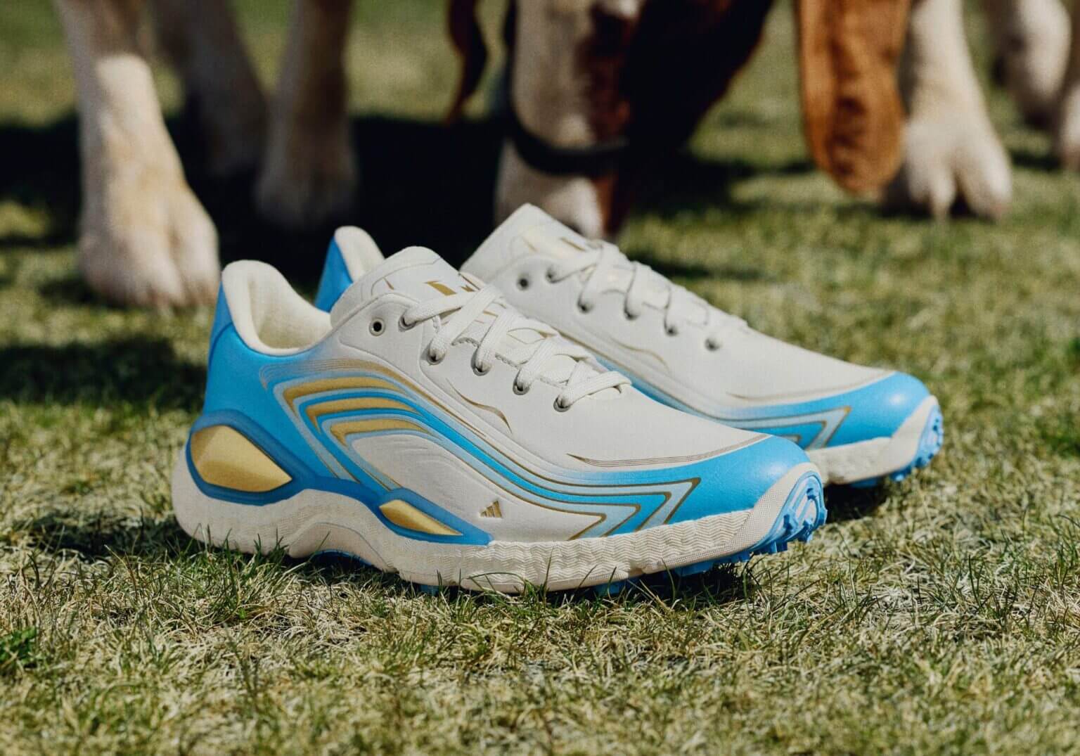 Adidas Golf: Performance