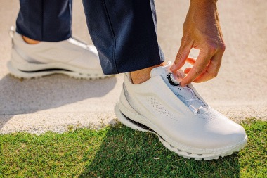 Ecco: Shoes
