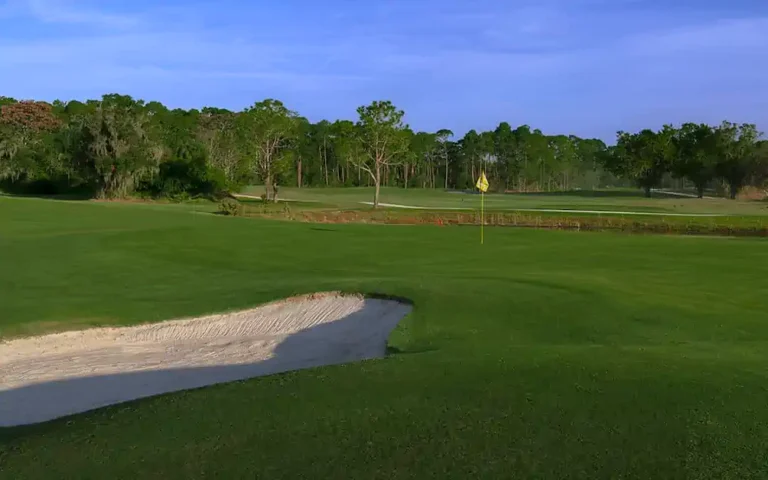 Palm Golf Co.: Gloves